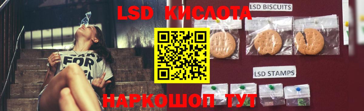 Новодвинск  Лсд 25 экстази ecstasy  Вход с VPN  Лсд 25 экстази ecstasy 