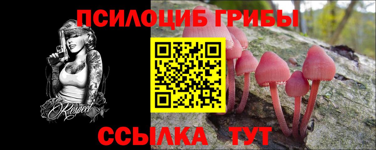 Псилоцибиновые грибы Psilocybe Новодвинск